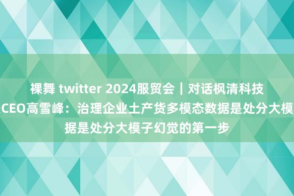 裸舞 twitter 2024服贸会｜对话枫清科技首创东说念主兼CEO高雪峰：治理企业土产货多模态数据是处分大模子幻觉的第一步