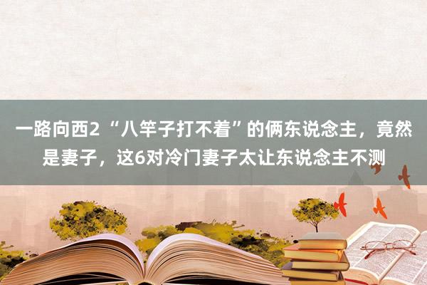 一路向西2 “八竿子打不着”的俩东说念主，竟然是妻子，这6对冷门妻子太让东说念主不测