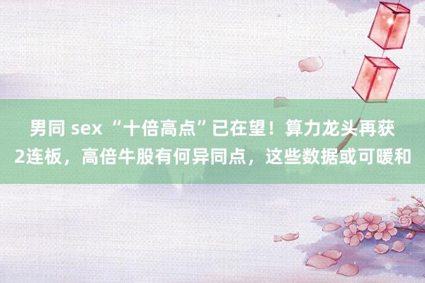 男同 sex “十倍高点”已在望！算力龙头再获2连板，高倍牛股有何异同点，这些数据或可暖和