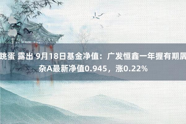 跳蛋 露出 9月18日基金净值：广发恒鑫一年握有期羼杂A最新净值0.945，涨0.22%