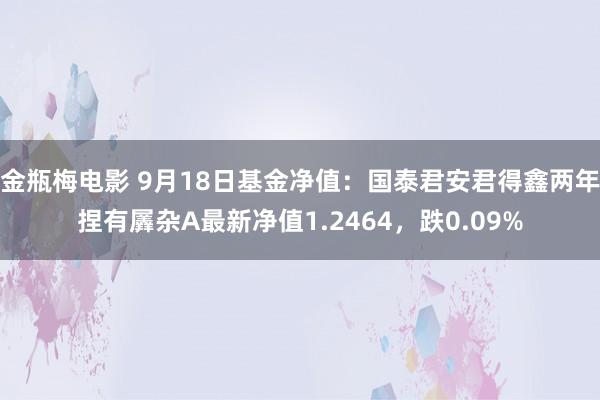 金瓶梅电影 9月18日基金净值：国泰君安君得鑫两年捏有羼杂A最新净值1.2464，跌0.09%