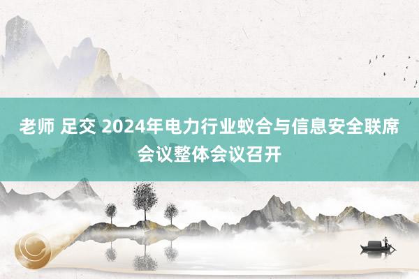 老师 足交 2024年电力行业蚁合与信息安全联席会议整体会议召开