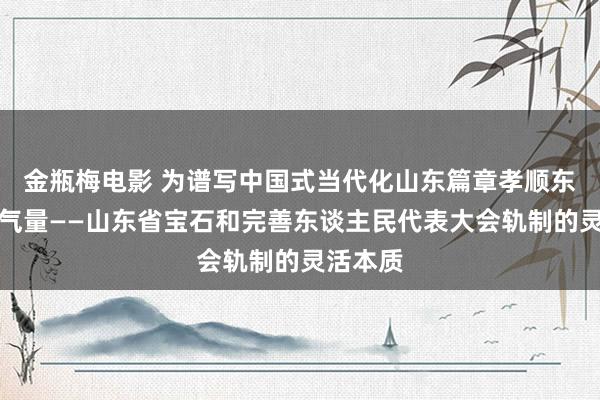 金瓶梅电影 为谱写中国式当代化山东篇章孝顺东谈主傲气量——山东省宝石和完善东谈主民代表大会轨制的灵活本质