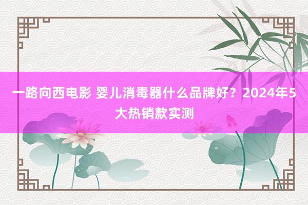 一路向西电影 婴儿消毒器什么品牌好？2024年5大热销款实测