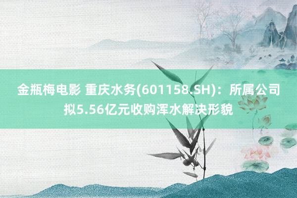 金瓶梅电影 重庆水务(601158.SH)：所属公司拟5.56亿元收购浑水解决形貌