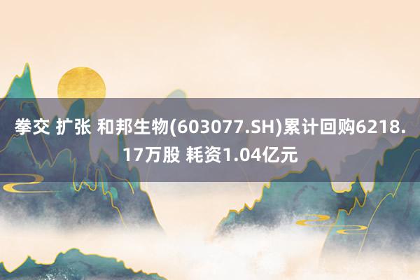 拳交 扩张 和邦生物(603077.SH)累计回购6218.17万股 耗资1.04亿元