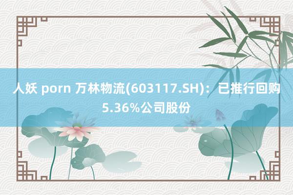 人妖 porn 万林物流(603117.SH)：已推行回购5.36%公司股份