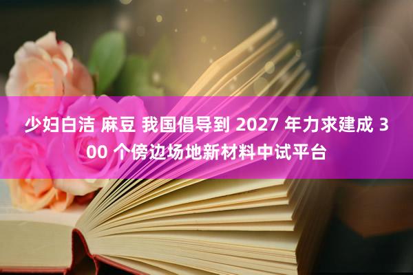 少妇白洁 麻豆 我国倡导到 2027 年力求建成 300 个傍边场地新材料中试平台