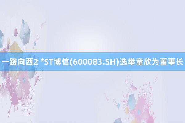 一路向西2 *ST博信(600083.SH)选举童欣为董事长