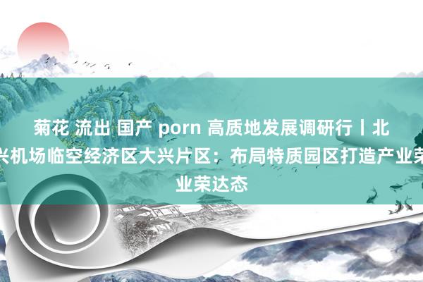 菊花 流出 国产 porn 高质地发展调研行丨北京大兴机场临空经济区大兴片区：布局特质园区打造产业荣达态