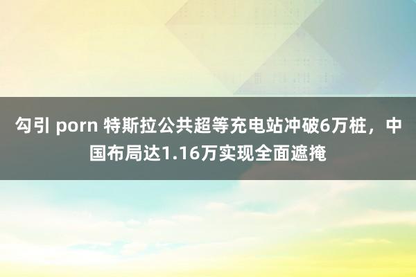 勾引 porn 特斯拉公共超等充电站冲破6万桩，中国布局达1.16万实现全面遮掩