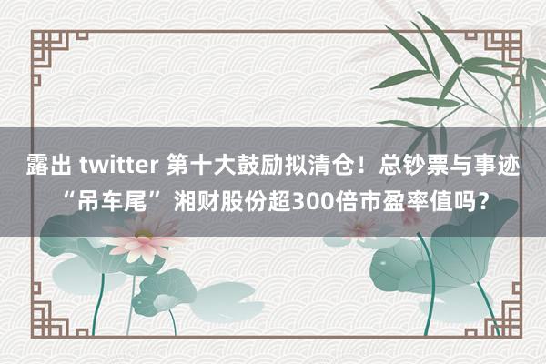 露出 twitter 第十大鼓励拟清仓！总钞票与事迹“吊车尾” 湘财股份超300倍市盈率值吗？