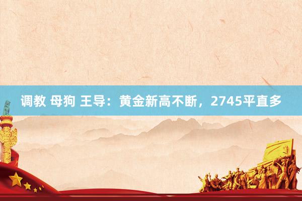 调教 母狗 王导：黄金新高不断，2745平直多