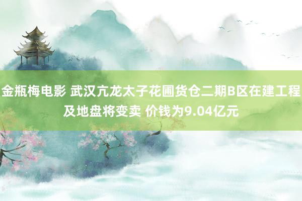 金瓶梅电影 武汉亢龙太子花圃货仓二期B区在建工程及地盘将变卖 价钱为9.04亿元