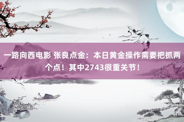 一路向西电影 张良点金：本日黄金操作需要把抓两个点！其中2743很重关节！