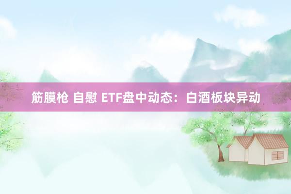 筋膜枪 自慰 ETF盘中动态：白酒板块异动