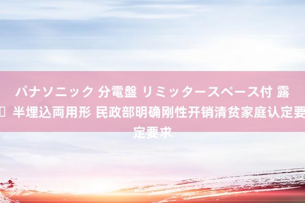 パナソニック 分電盤 リミッタースペース付 露出・半埋込両用形 民政部明确刚性开销清贫家庭认定要求