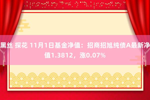 黑丝 探花 11月1日基金净值：招商招旭纯债A最新净值1.3812，涨0.07%