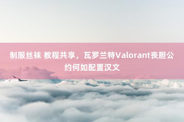 制服丝袜 教程共享，瓦罗兰特Valorant丧胆公约何如配置汉文