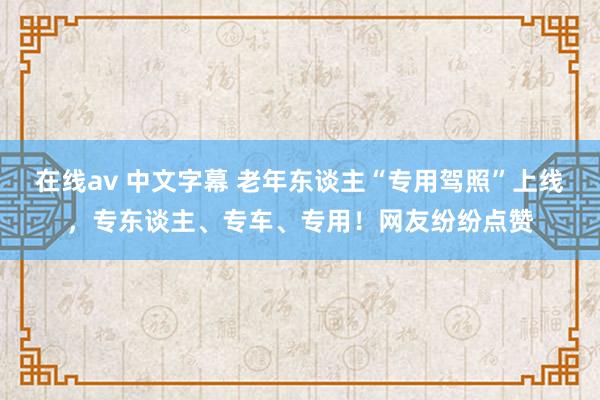 在线av 中文字幕 老年东谈主“专用驾照”上线，专东谈主、专车、专用！网友纷纷点赞