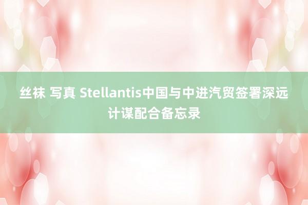 丝袜 写真 Stellantis中国与中进汽贸签署深远计谋配合备忘录