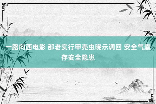 一路向西电影 部老实行甲壳虫晓示调回 安全气囊存安全隐患