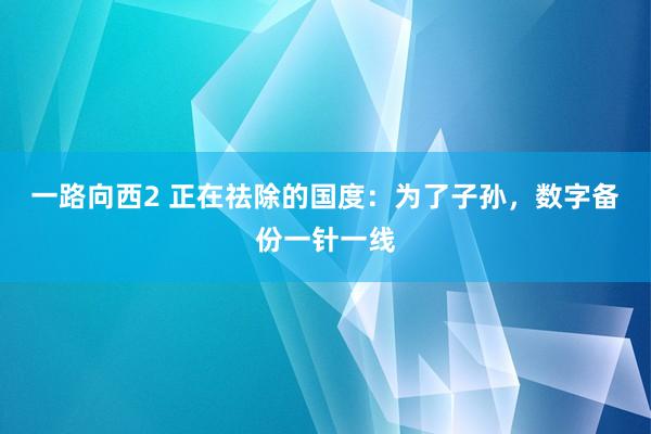 一路向西2 正在祛除的国度：为了子孙，数字备份一针一线