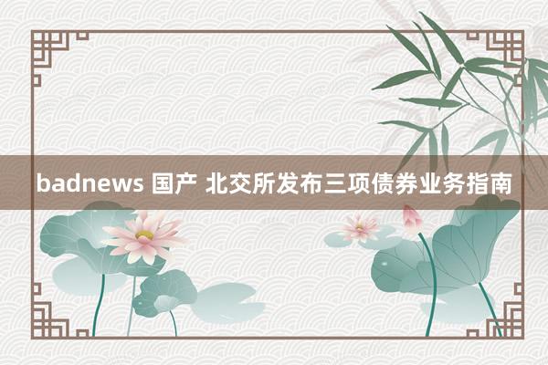 badnews 国产 北交所发布三项债券业务指南