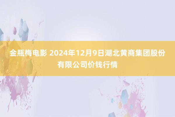 金瓶梅电影 2024年12月9日湖北黄商集团股份有限公司价钱行情