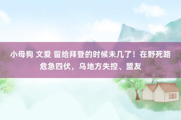 小母狗 文爱 留给拜登的时候未几了！在野死路危急四伏，乌地方失控、盟友