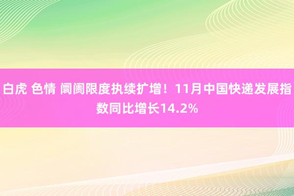 白虎 色情 阛阓限度执续扩增！11月中国快递发展指数同比增长14.2%