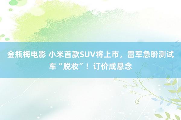 金瓶梅电影 小米首款SUV将上市，雷军急盼测试车“脱妆”！订价成悬念