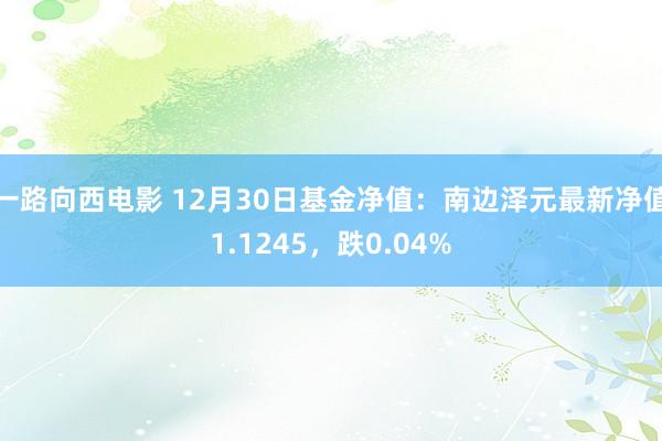 一路向西电影 12月30日基金净值：南边泽元最新净值1.1245，跌0.04%