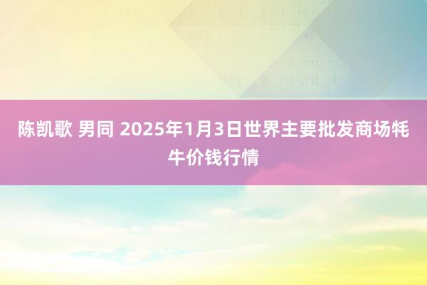 陈凯歌 男同 2025年1月3日世界主要批发商场牦牛价钱行情