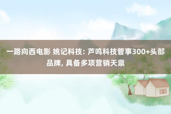 一路向西电影 姚记科技: 芦鸣科技管事300+头部品牌， 具备多项营销天禀