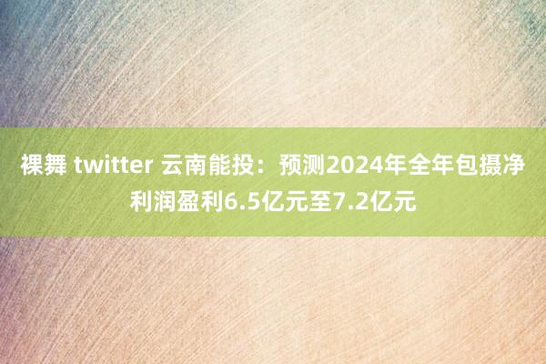 裸舞 twitter 云南能投：预测2024年全年包摄净利润盈利6.5亿元至7.2亿元