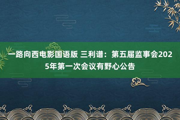 一路向西电影国语版 三利谱：第五届监事会2025年第一次会议有野心公告