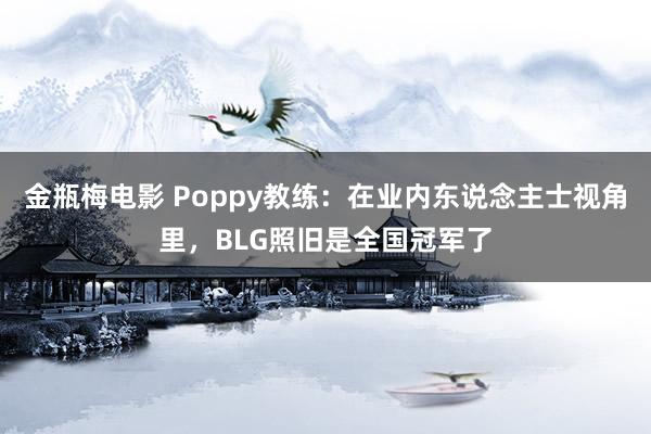 金瓶梅电影 Poppy教练：在业内东说念主士视角里，BLG照旧是全国冠军了